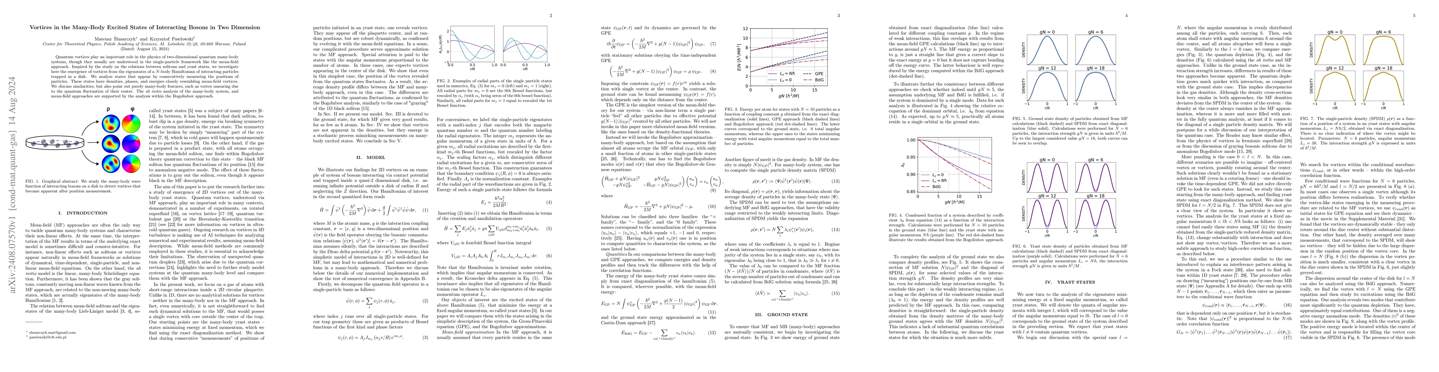 Thumbnail for Vortices in the Many-Body Excited States of Interacting Bosons in Two
  Dimension