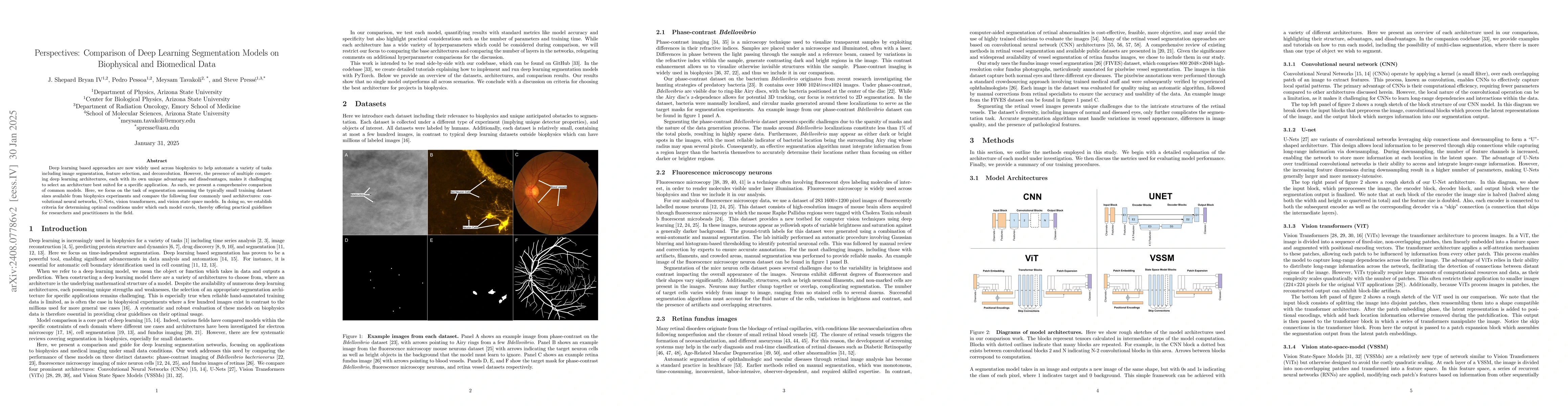 Thumbnail for Perspectives: Comparison of Deep Learning Segmentation Models on
  Biophysical and Biomedical Data
