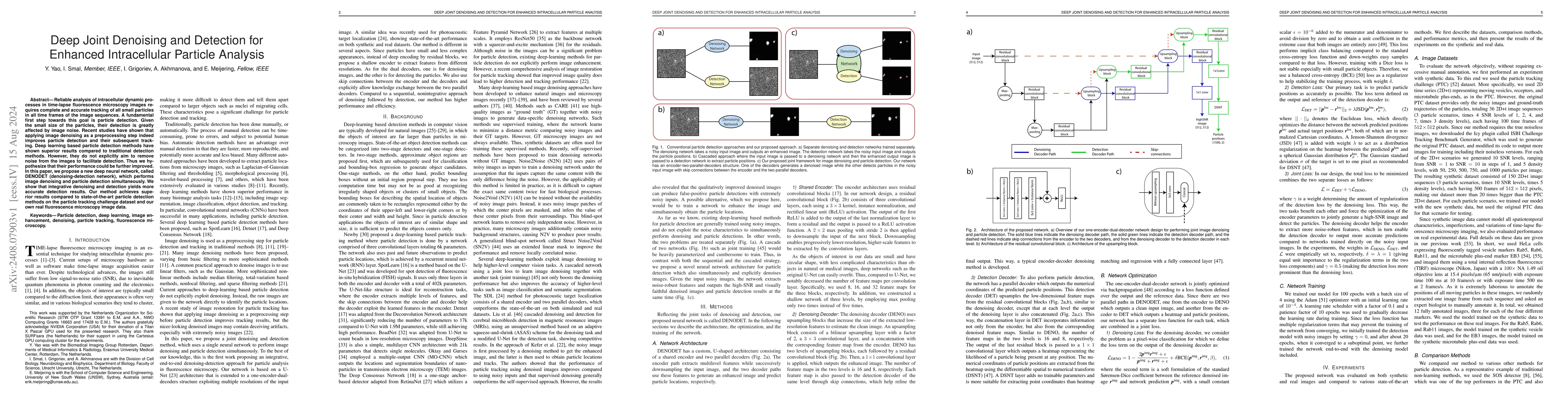 Thumbnail for Deep Joint Denoising and Detection for Enhanced Intracellular Particle
  Analysis
