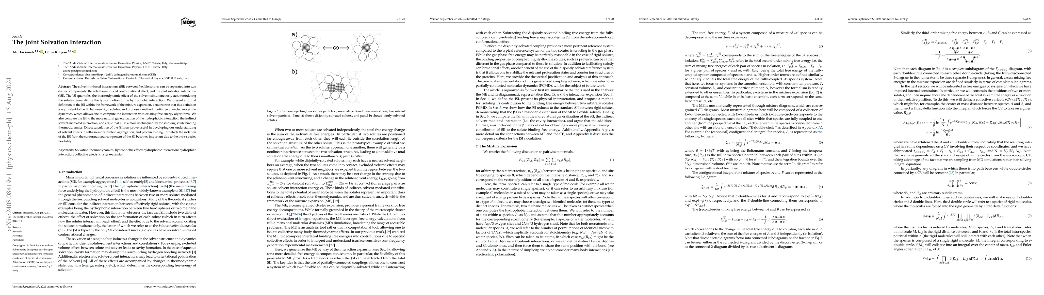 Thumbnail for The Joint Solvation Interaction