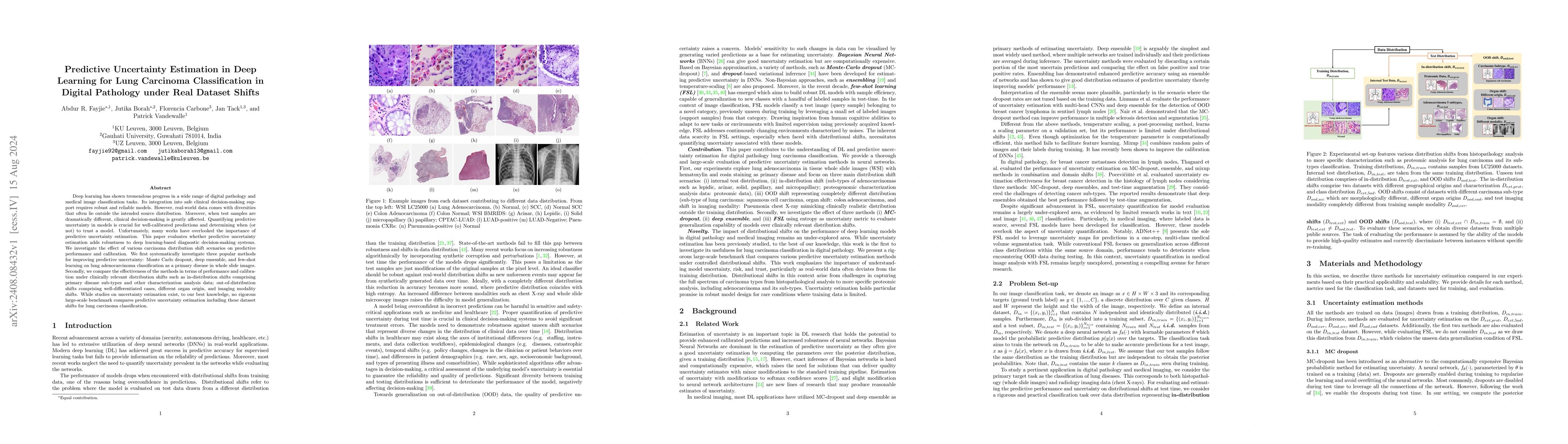 Thumbnail for Predictive uncertainty estimation in deep learning for lung carcinoma
  classification in digital pathology under real dataset shifts