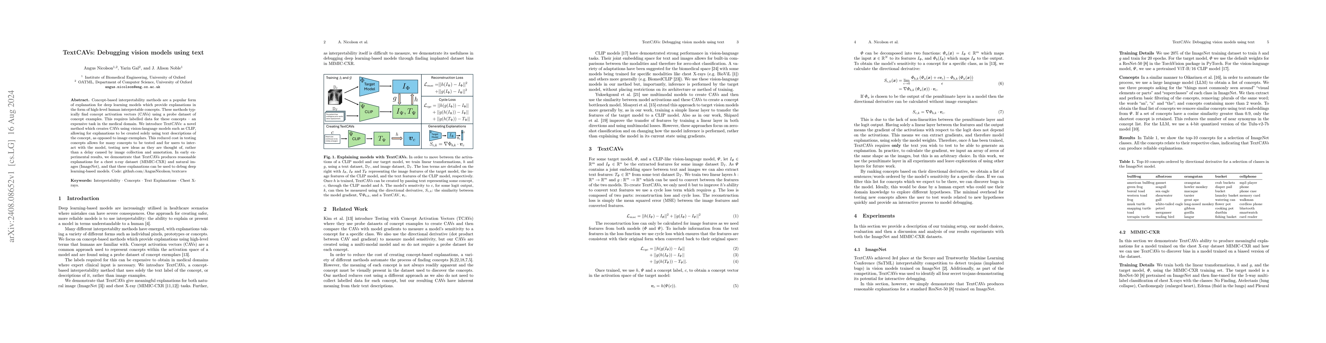 Thumbnail for TextCAVs: Debugging vision models using text