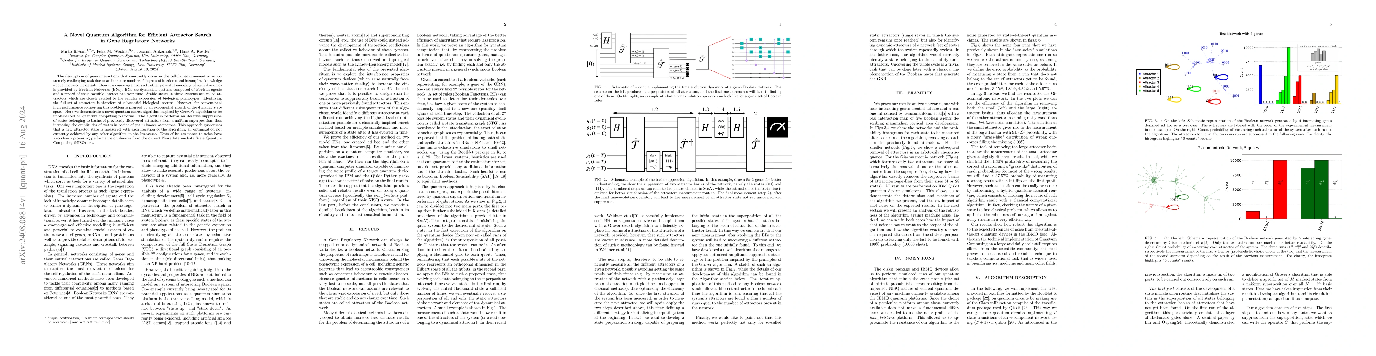 Thumbnail for A Novel Quantum Algorithm for Efficient Attractor Search in Gene
  Regulatory Networks