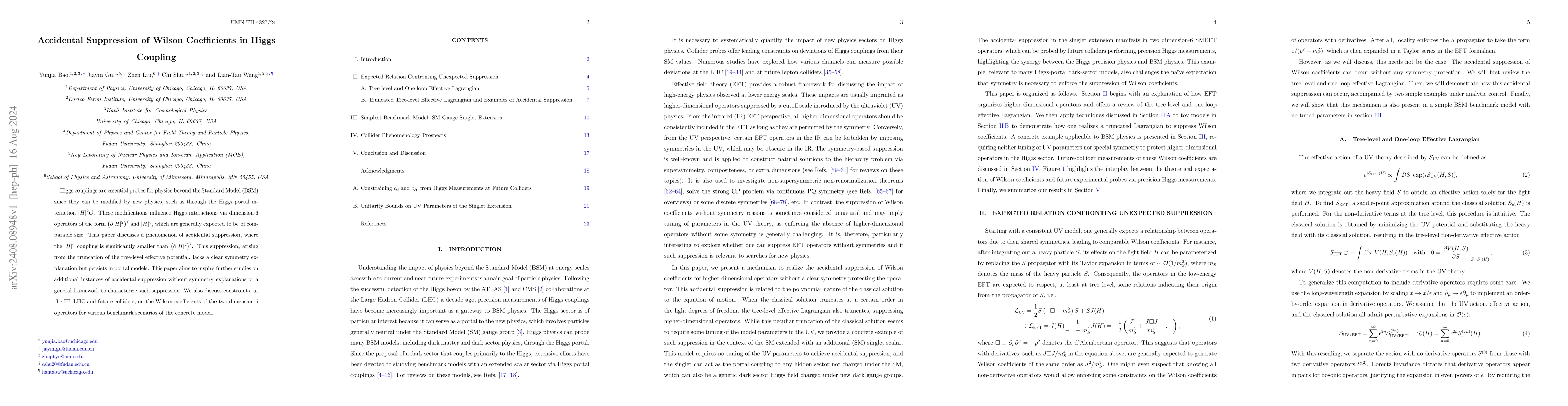 Thumbnail for Accidental Suppression of Wilson Coefficients in Higgs Coupling
