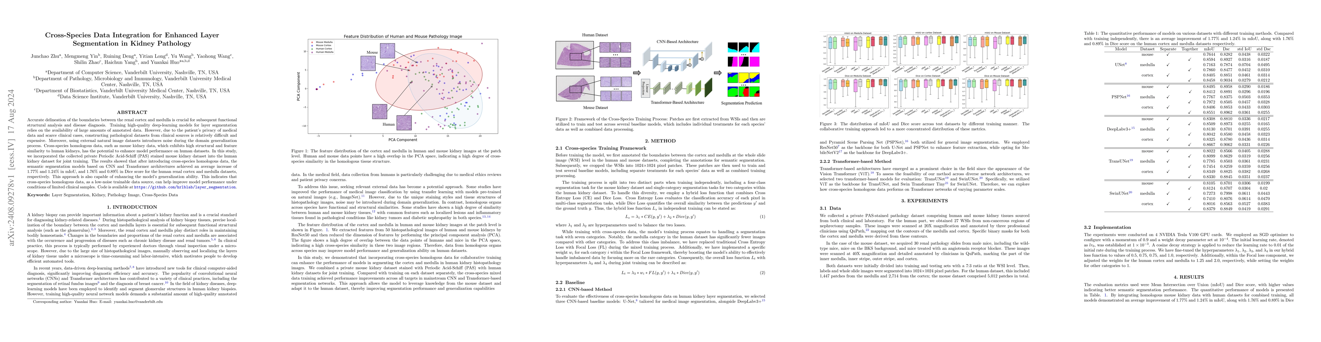 Thumbnail for Cross-Species Data Integration for Enhanced Layer Segmentation in Kidney
  Pathology