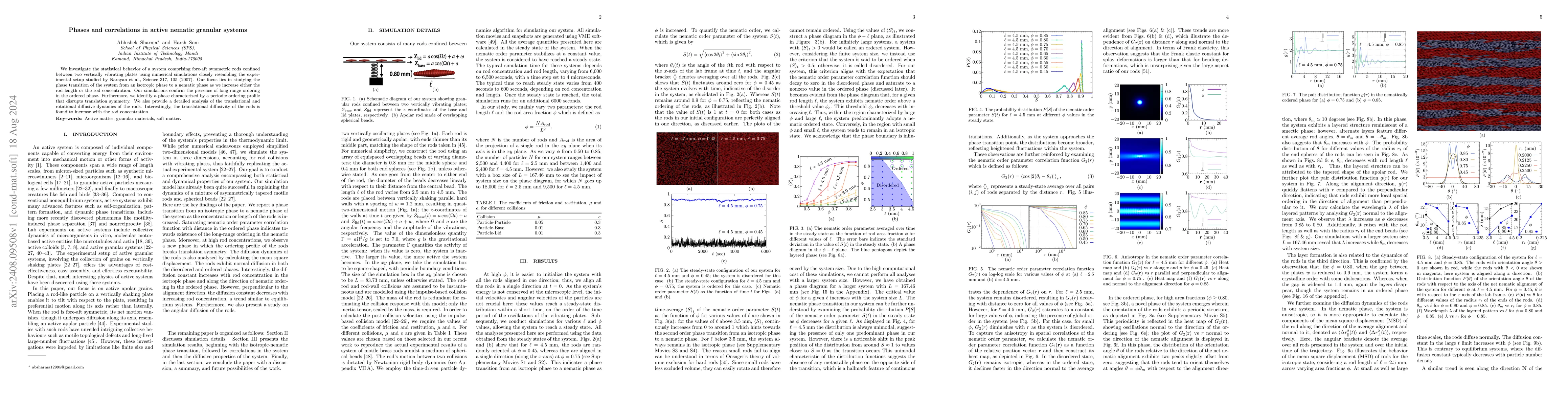 Thumbnail for Phases and correlations in active nematic granular systems