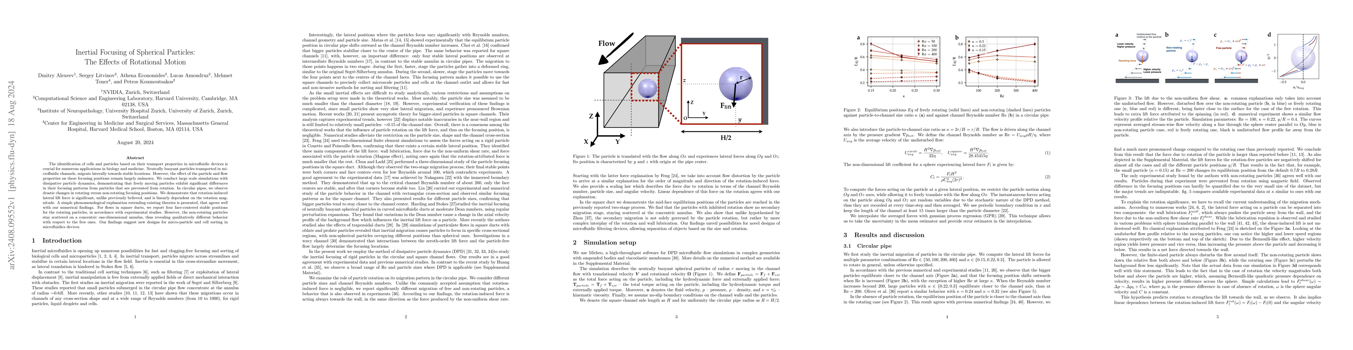 Thumbnail for Inertial Focusing of Spherical Particles: The Effects of Rotational
  Motion
