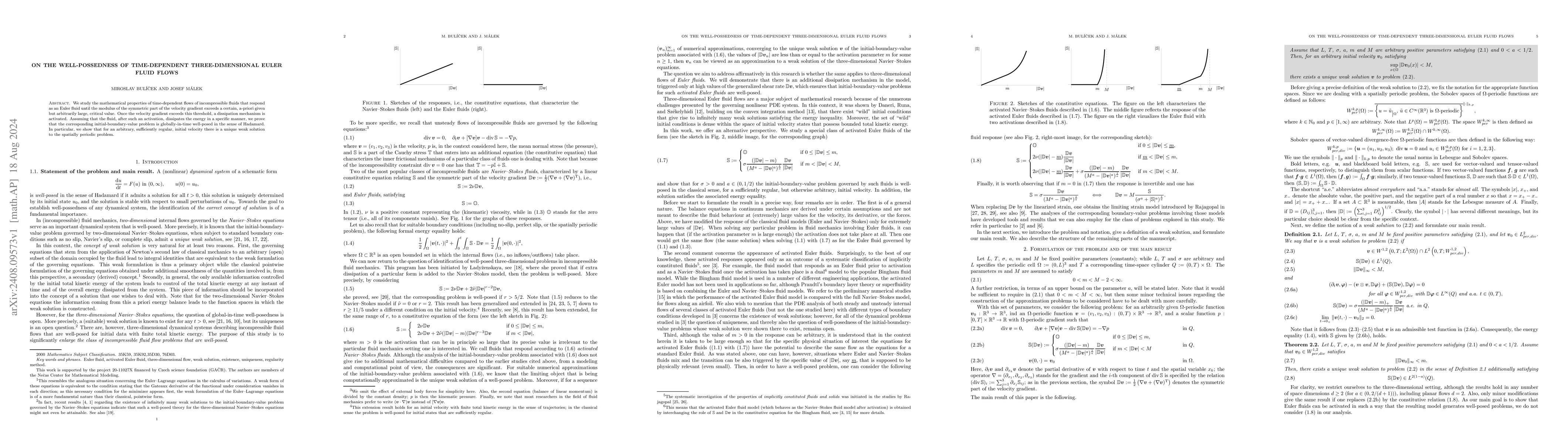Thumbnail for On the well-possedness of time-dependent three-dimensional Euler fluid
  flows