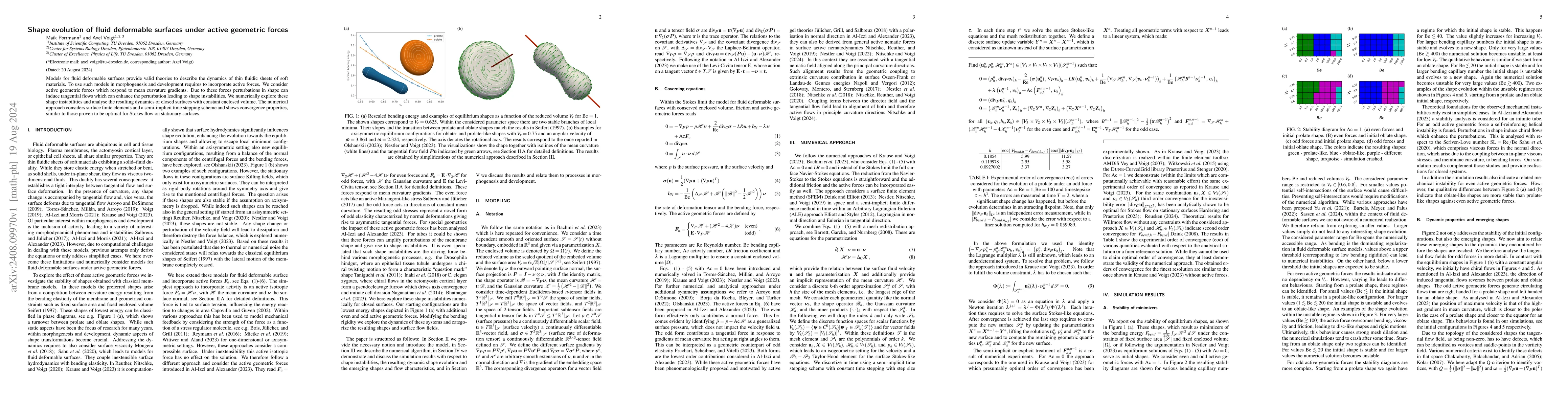 Thumbnail for Shape Evolution of Fluid Deformable Surfaces under Active Geometric
  Forces