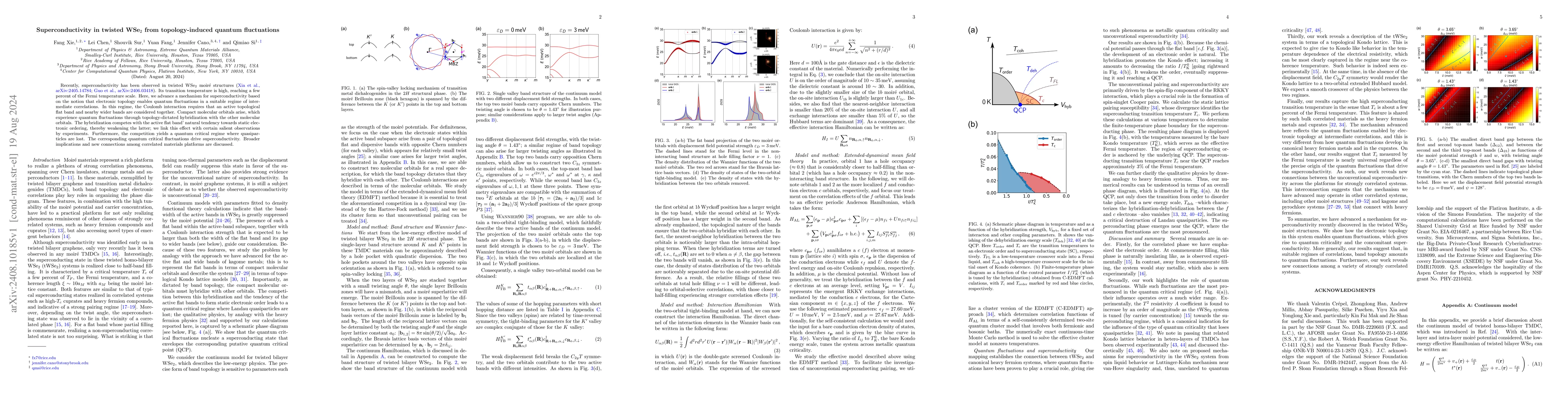 Thumbnail for Superconductivity in twisted WSe$_2$ from topology-induced quantum
  fluctuations