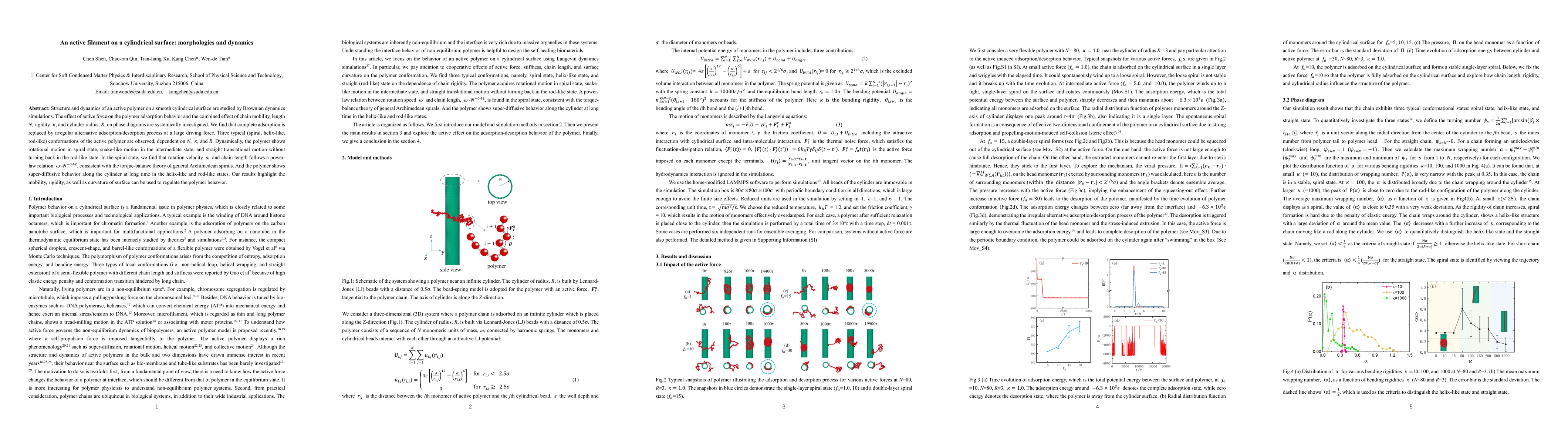 Thumbnail for An active filament on a cylindrical surface: morphologies and dynamics