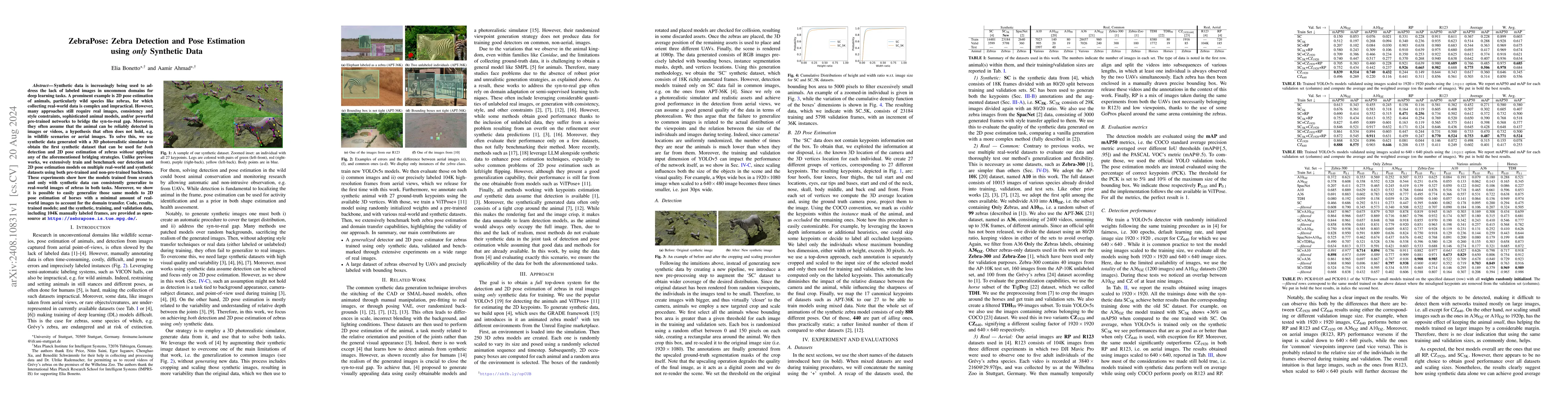 Thumbnail for ZebraPose: Zebra Detection and Pose Estimation using only Synthetic Data