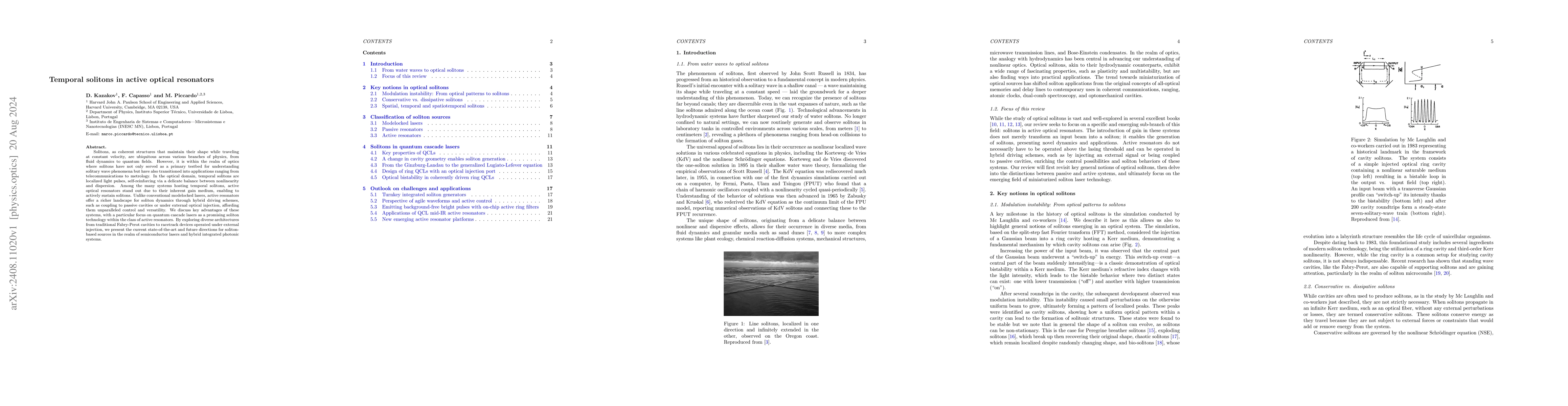 Thumbnail for Temporal solitons in active optical resonators