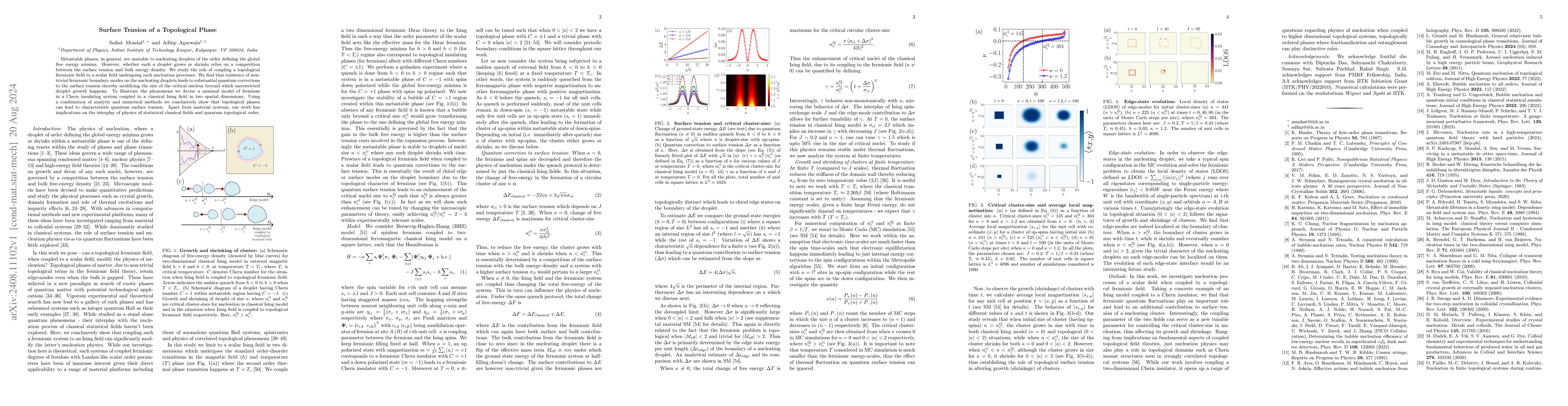 Thumbnail for Surface Tension of a Topological Phase