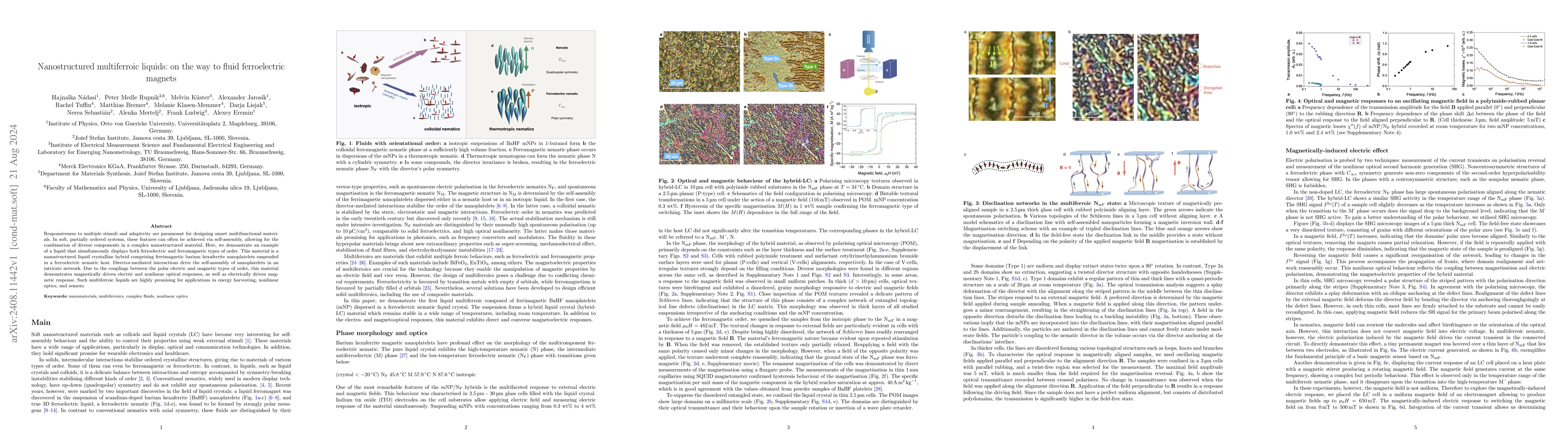 Thumbnail for Nanostructured multiferroic liquids: on the way to fluid ferroelectric
  magnets