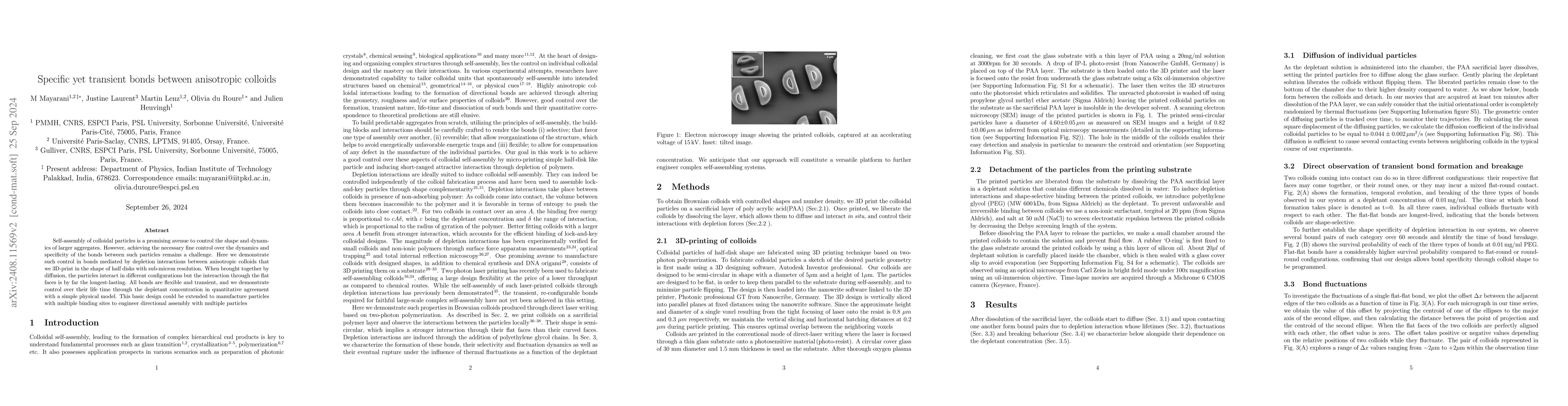 Thumbnail for Specific yet transient bonds between anisotropic colloids