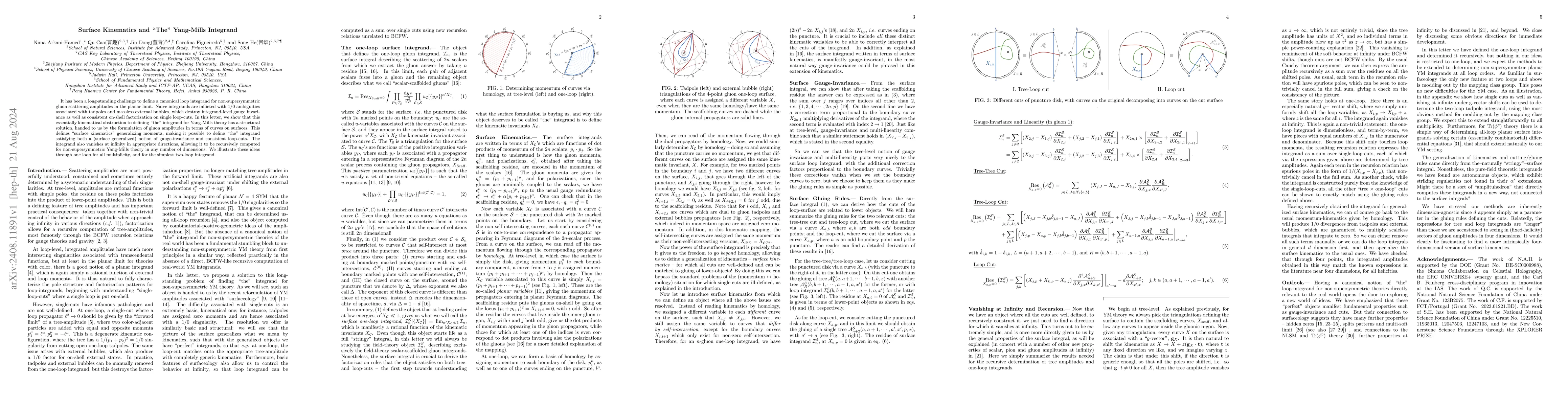 Thumbnail for Surface Kinematics and "The" Yang-Mills Integrand