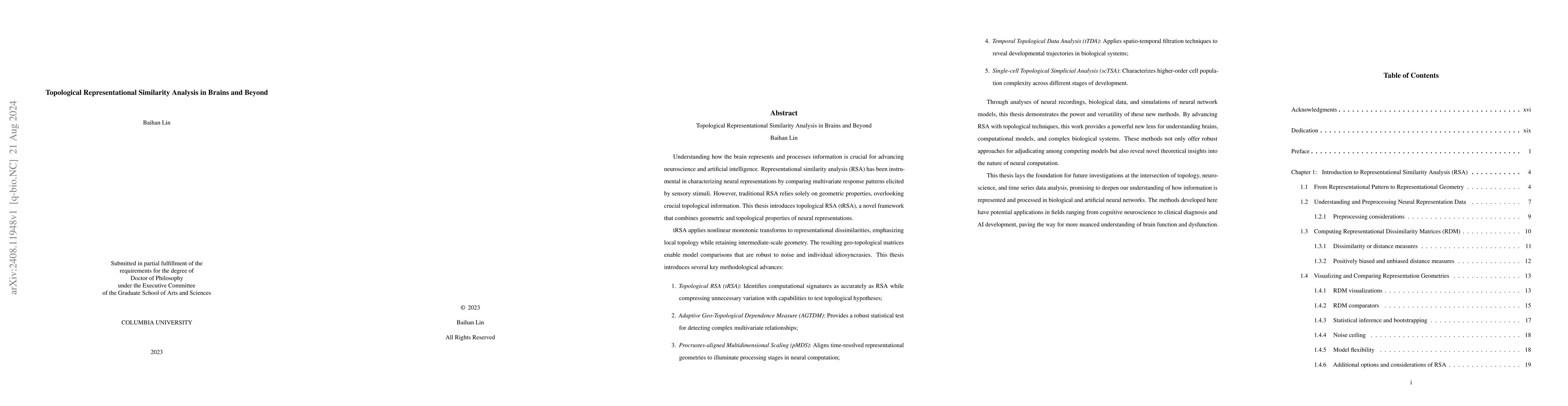 Thumbnail for Topological Representational Similarity Analysis in Brains and Beyond