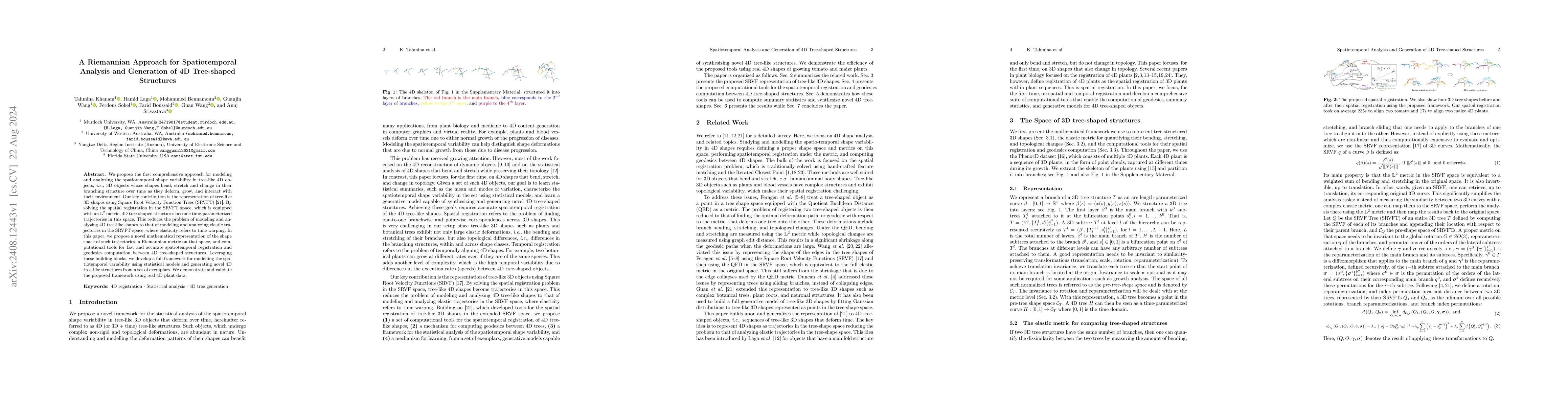 Thumbnail for A Riemannian Approach for Spatiotemporal Analysis and Generation of 4D
  Tree-shaped Structures