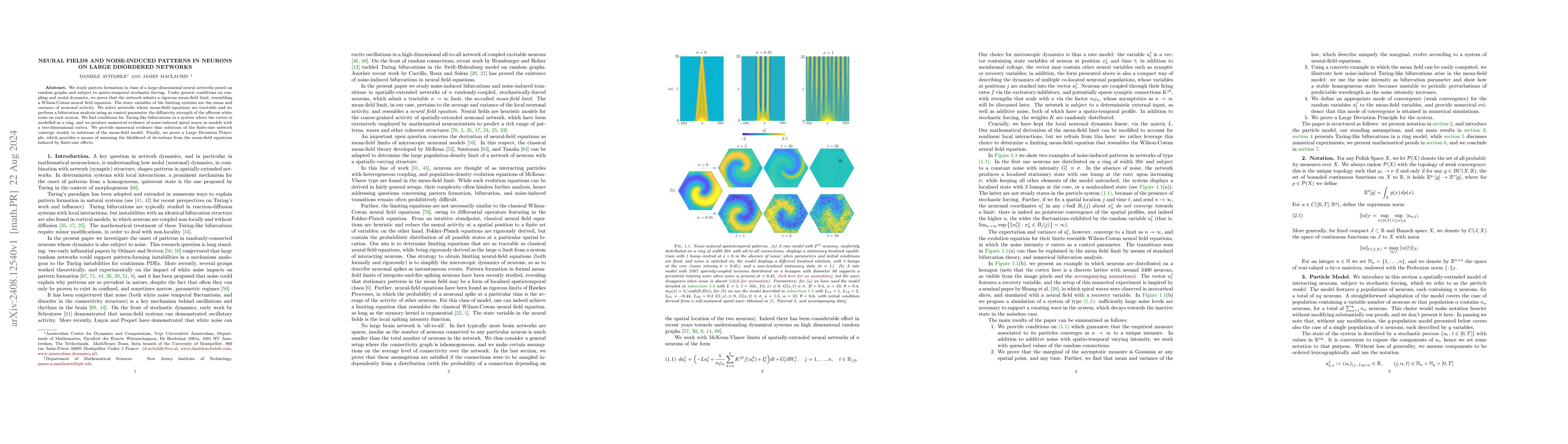 Thumbnail for Neural Fields and Noise-Induced Patterns in Neurons on Large Disordered
  Networks