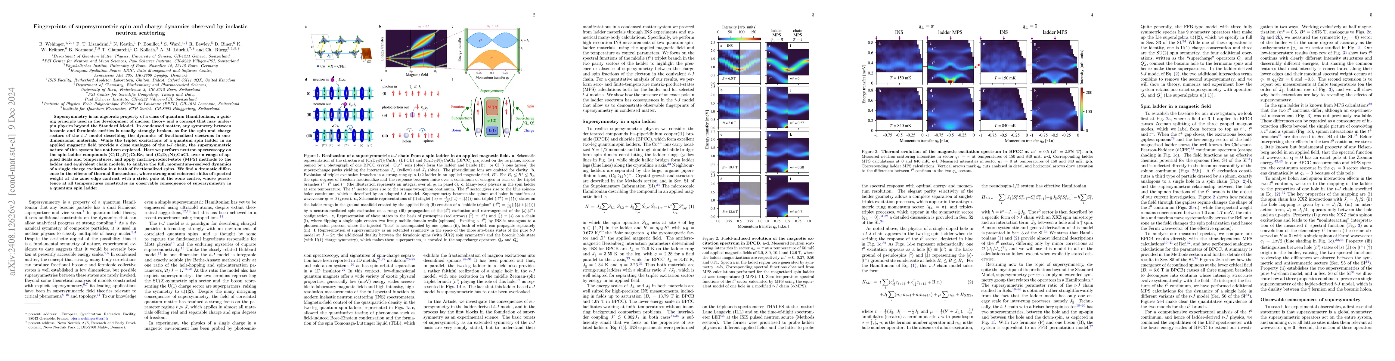 Thumbnail for Fingerprints of supersymmetric spin and charge dynamics observed by
  inelastic neutron scattering