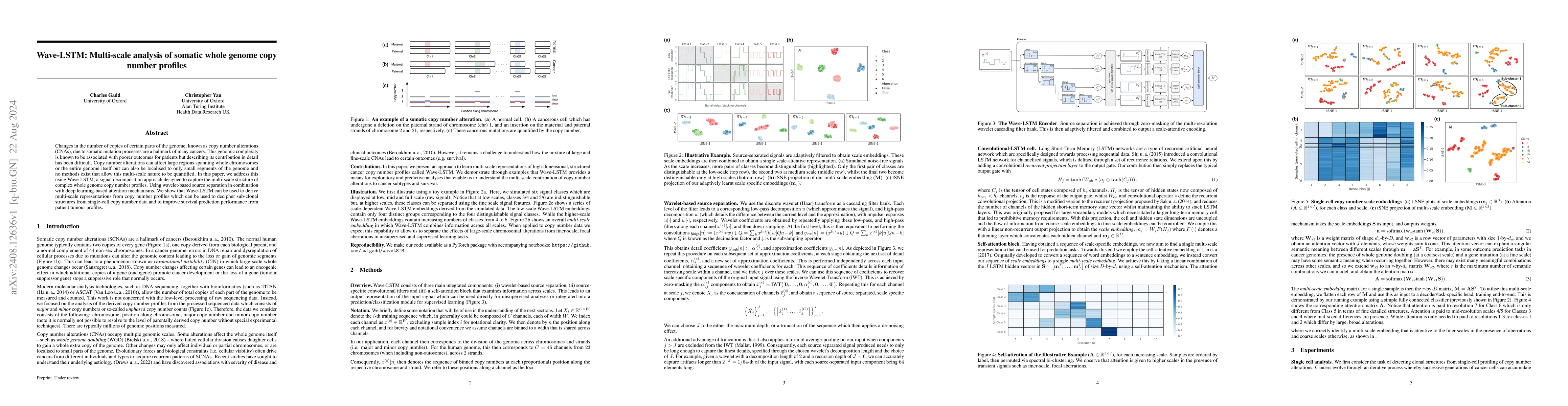 Thumbnail for Wave-LSTM: Multi-scale analysis of somatic whole genome copy number
  profiles