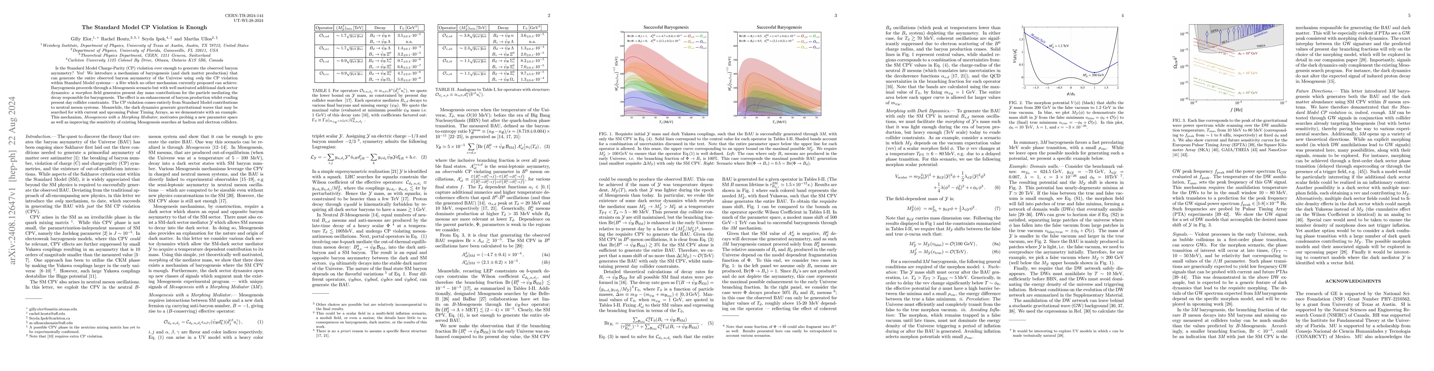 Thumbnail for The Standard Model CP Violation is Enough
