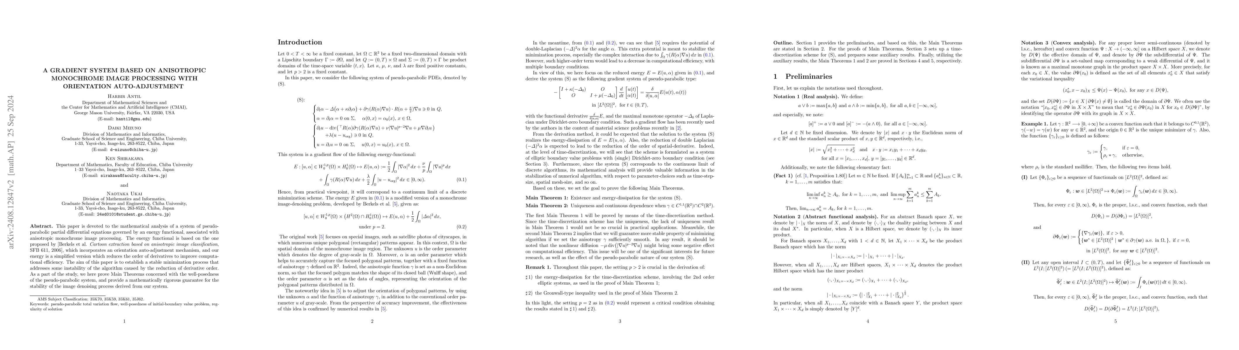 Thumbnail for A gradient system based on anisotropic monochrome image processing with
  orientation auto-adjustment