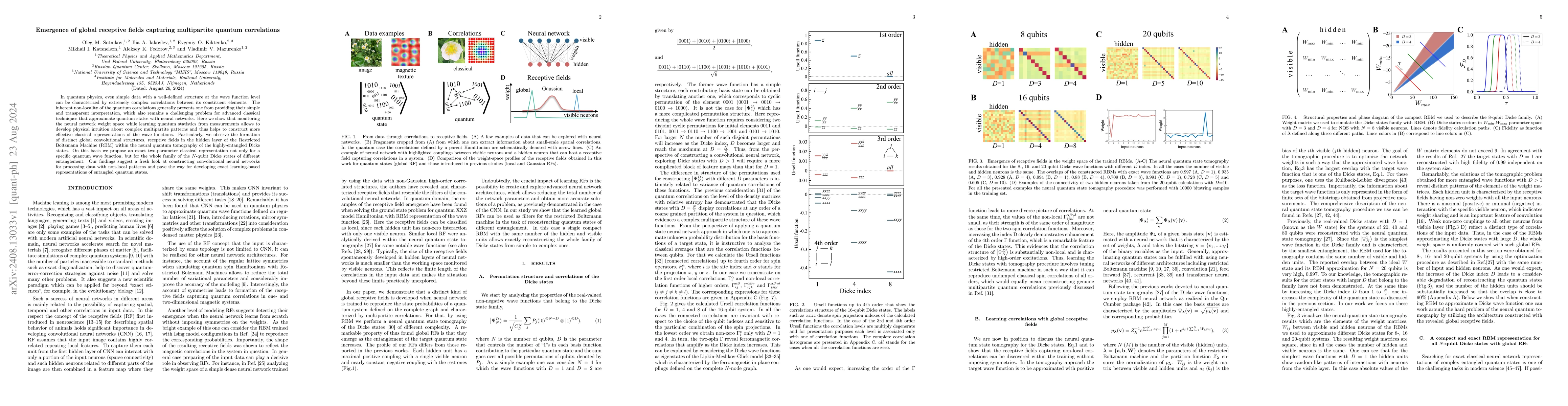 Thumbnail for Emergence of global receptive fields capturing multipartite quantum
  correlations