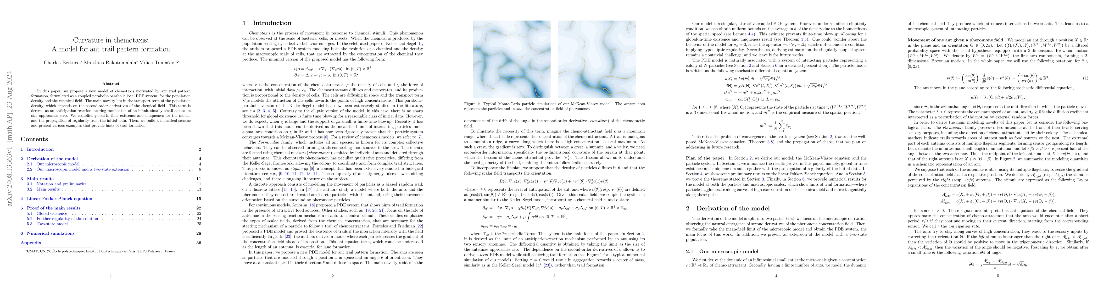 Thumbnail for Curvature in chemotaxis: A model for ant trail pattern formation