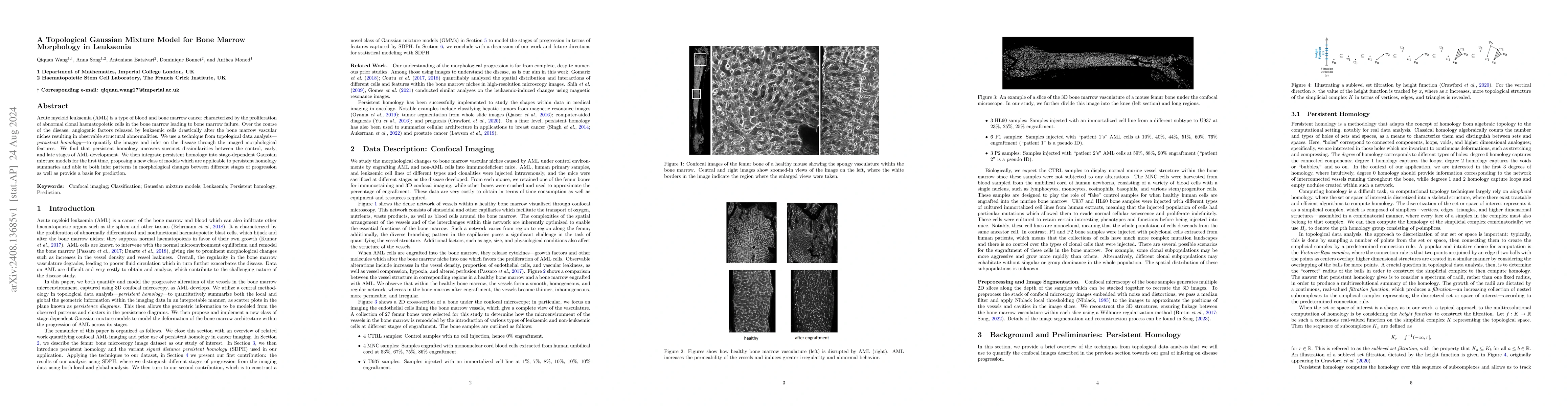 Thumbnail for A Topological Gaussian Mixture Model for Bone Marrow Morphology in
  Leukaemia