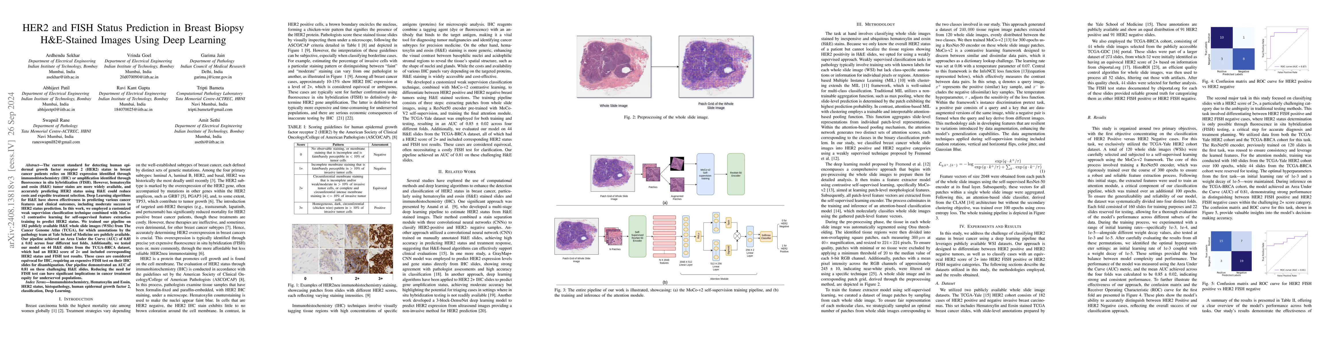 Thumbnail for HER2 and FISH Status Prediction in Breast Biopsy H&E-Stained Images
  Using Deep Learning