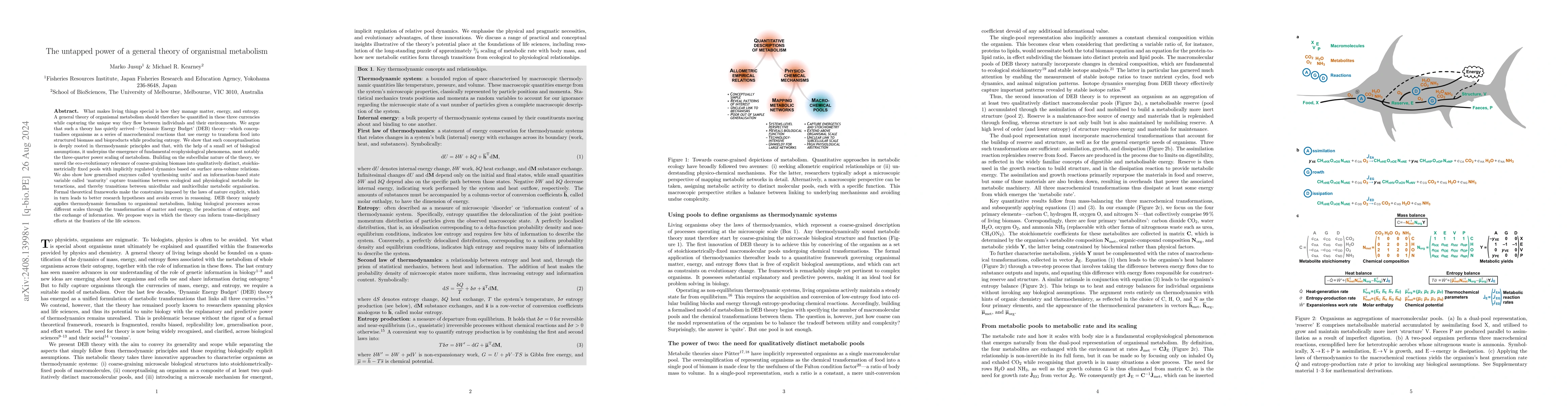 Thumbnail for The untapped power of a general theory of organismal metabolism