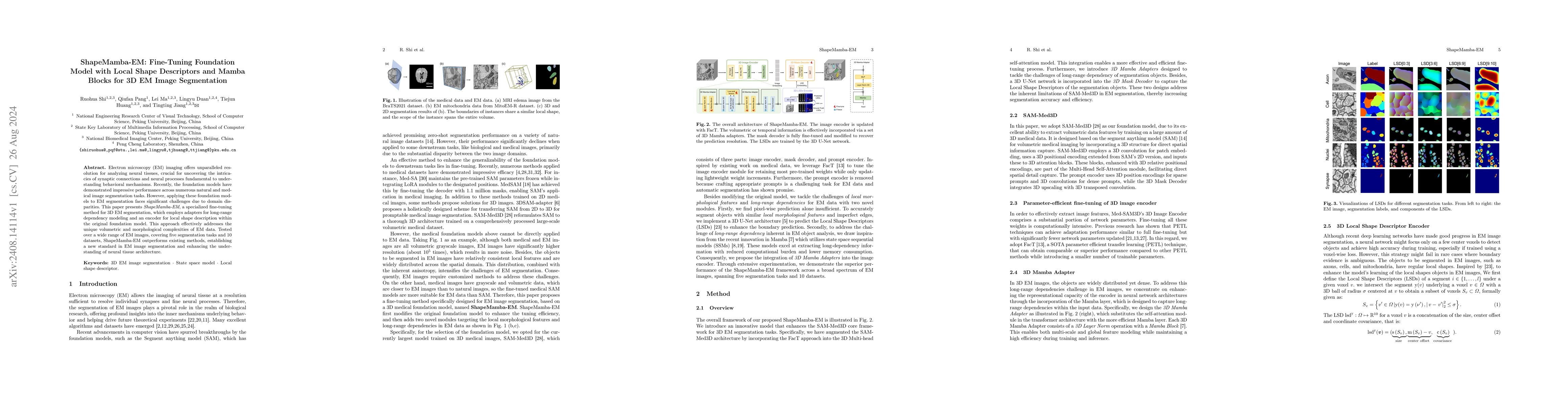 Thumbnail for ShapeMamba-EM: Fine-Tuning Foundation Model with Local Shape Descriptors
  and Mamba Blocks for 3D EM Image Segmentation