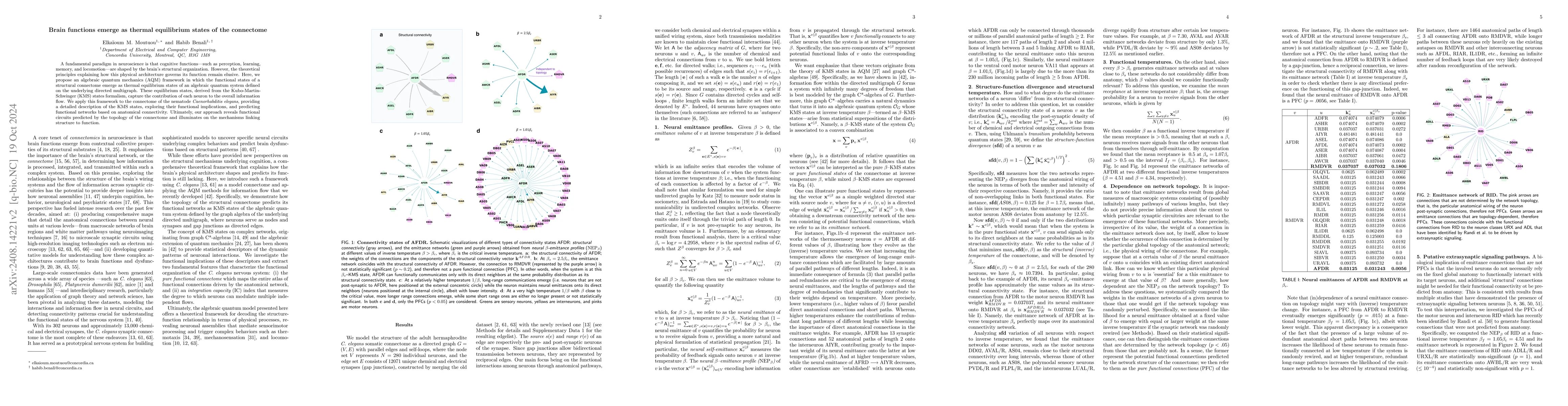 Thumbnail for Brain functions emerge as thermal equilibrium states of the connectome