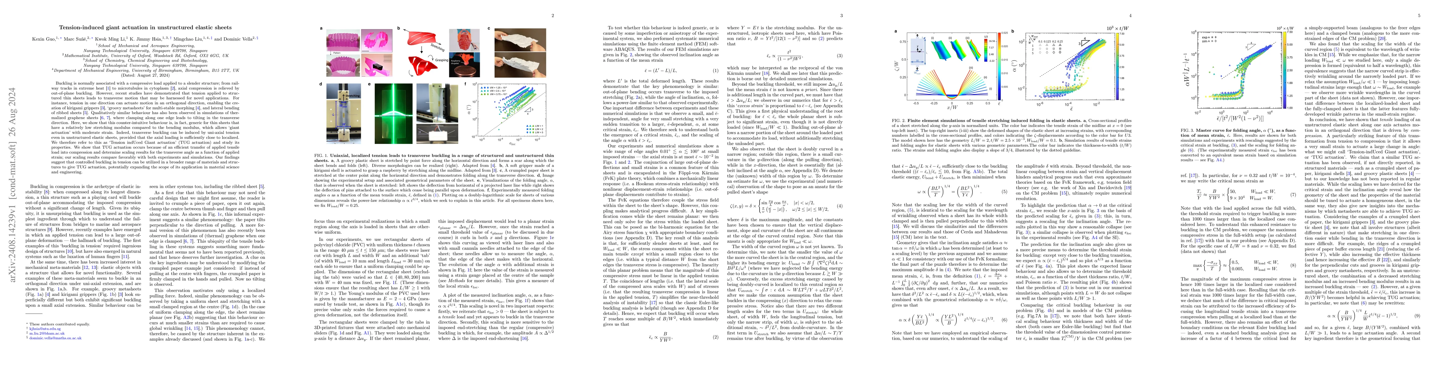 Thumbnail for Tension-induced giant actuation in unstructured elastic sheets