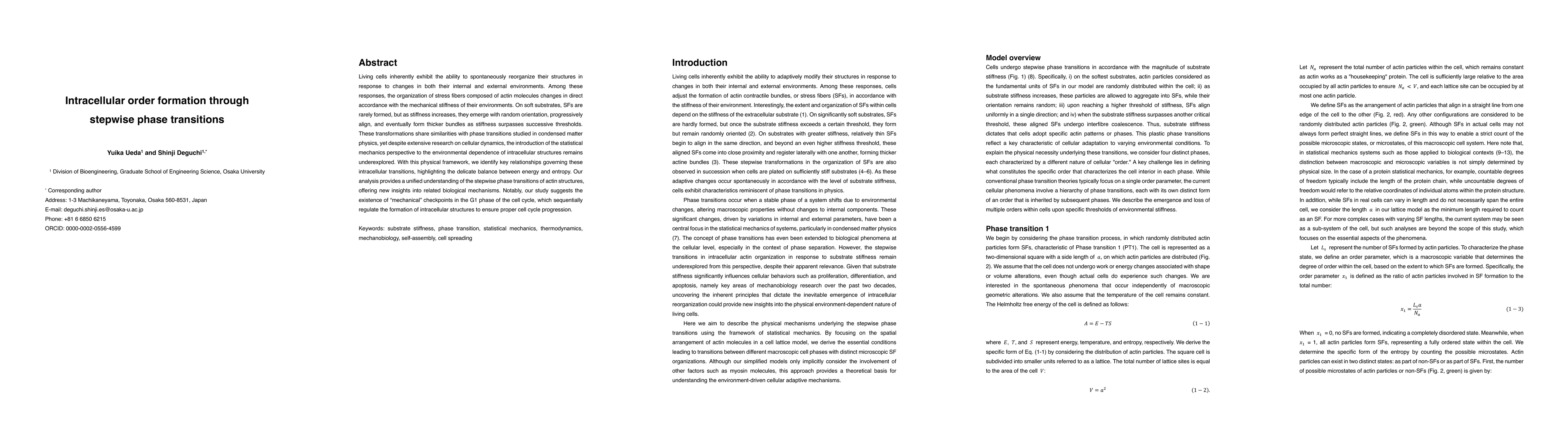 Thumbnail for Intracellular order formation through stepwise phase transitions