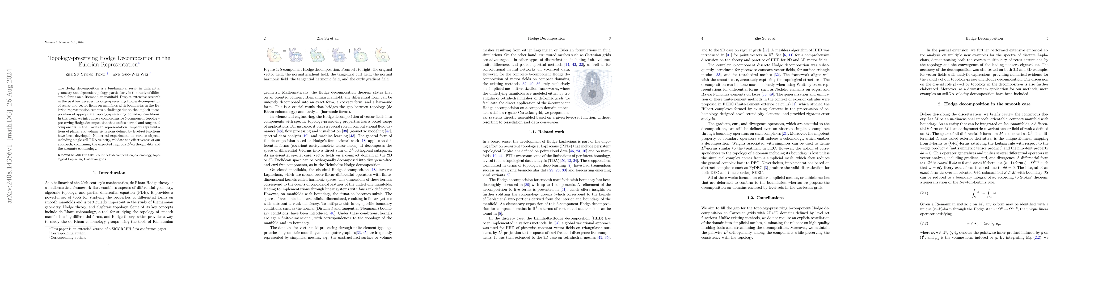 Thumbnail for Topology-preserving Hodge Decomposition in the Eulerian Representation