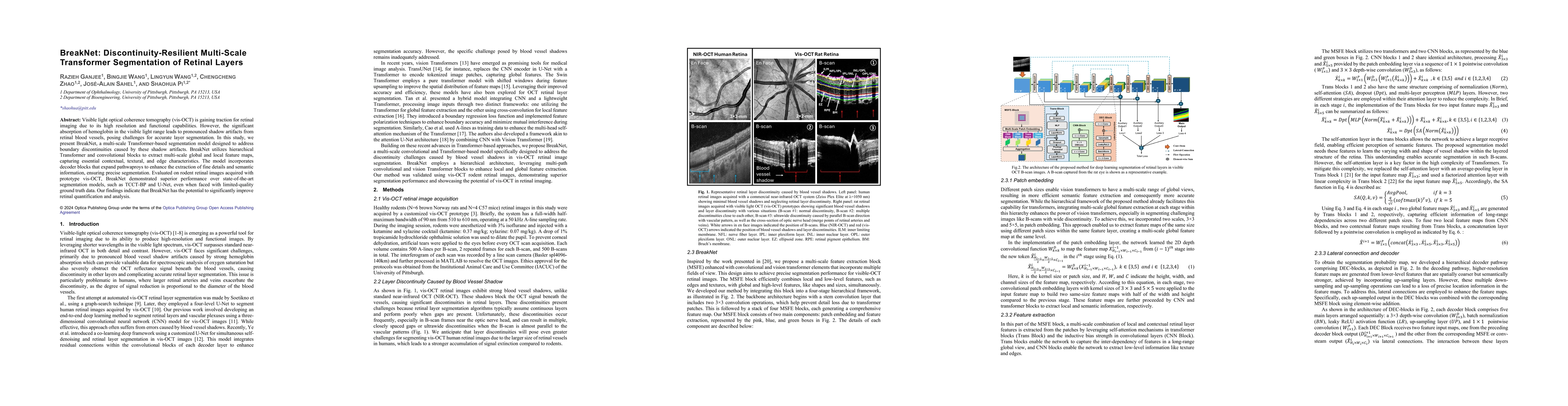 Thumbnail for BreakNet: Discontinuity-Resilient Multi-Scale Transformer Segmentation
  of Retinal Layers