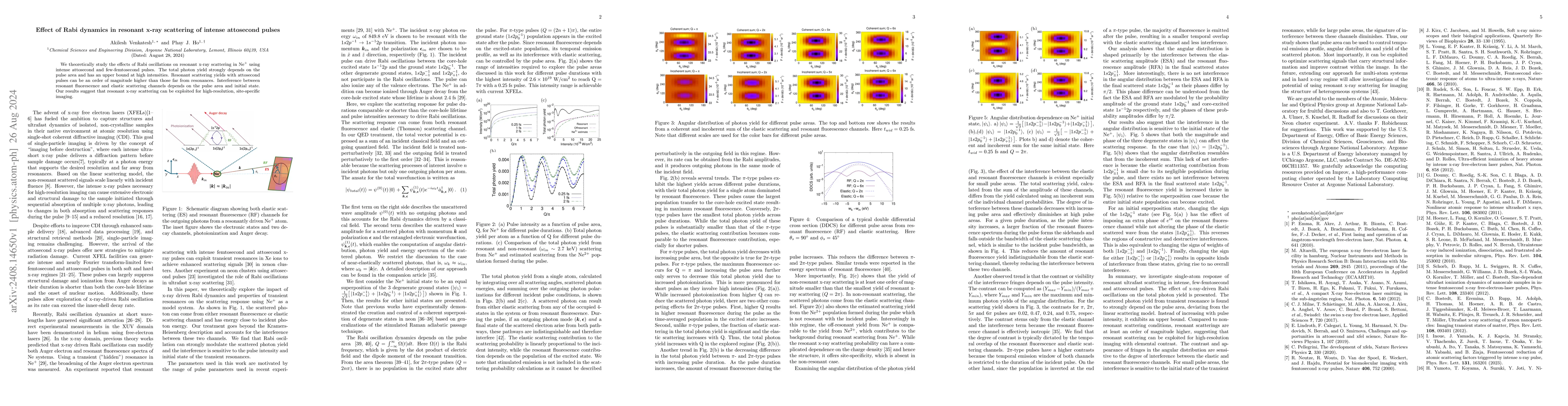 Thumbnail for Effect of Rabi dynamics in resonant x-ray scattering of intense
  attosecond pulses