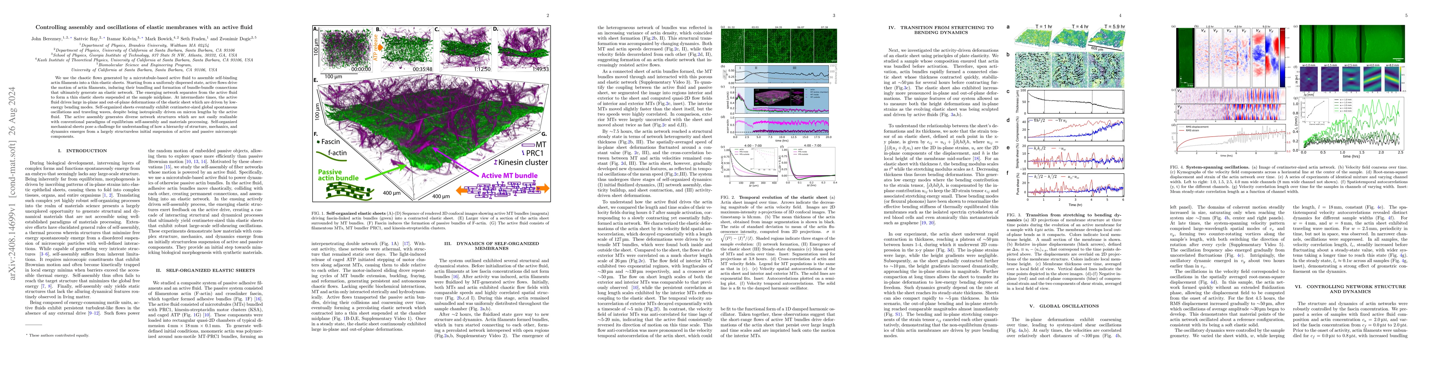 Thumbnail for Controlling assembly and oscillations of elastic membranes with an
  active fluid