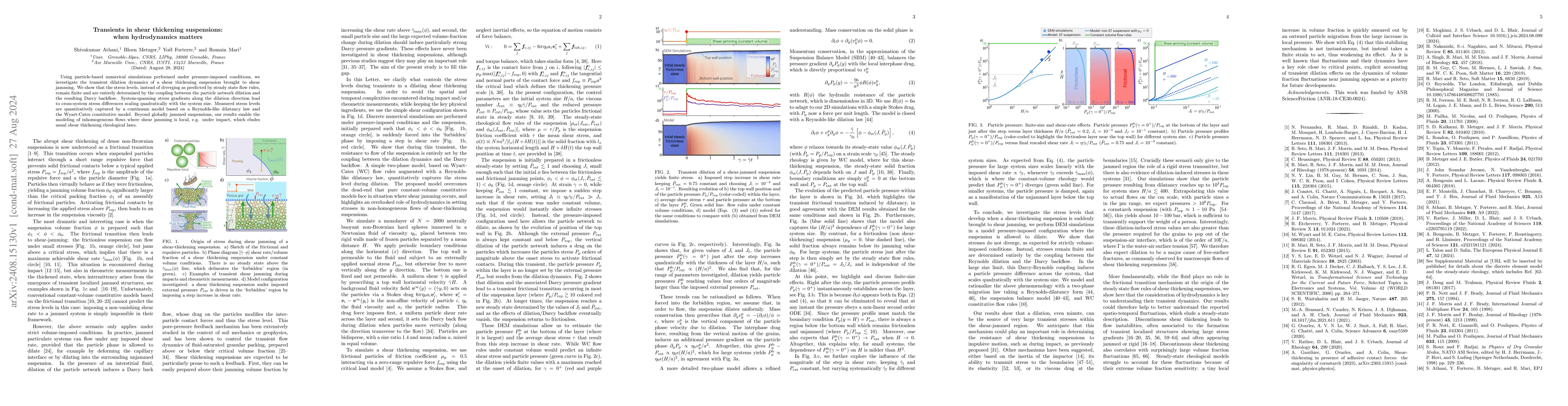 Thumbnail for Transients in shear thickening suspensions: when hydrodynamics matters