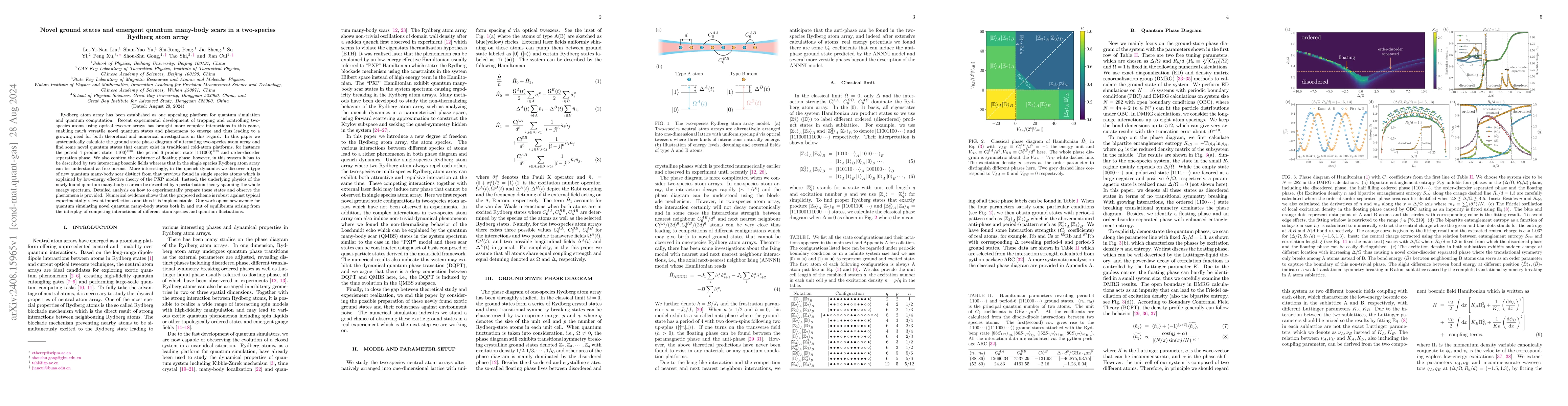 Thumbnail for Novel ground states and emergent quantum many-body scars in a
  two-species Rydberg atom array