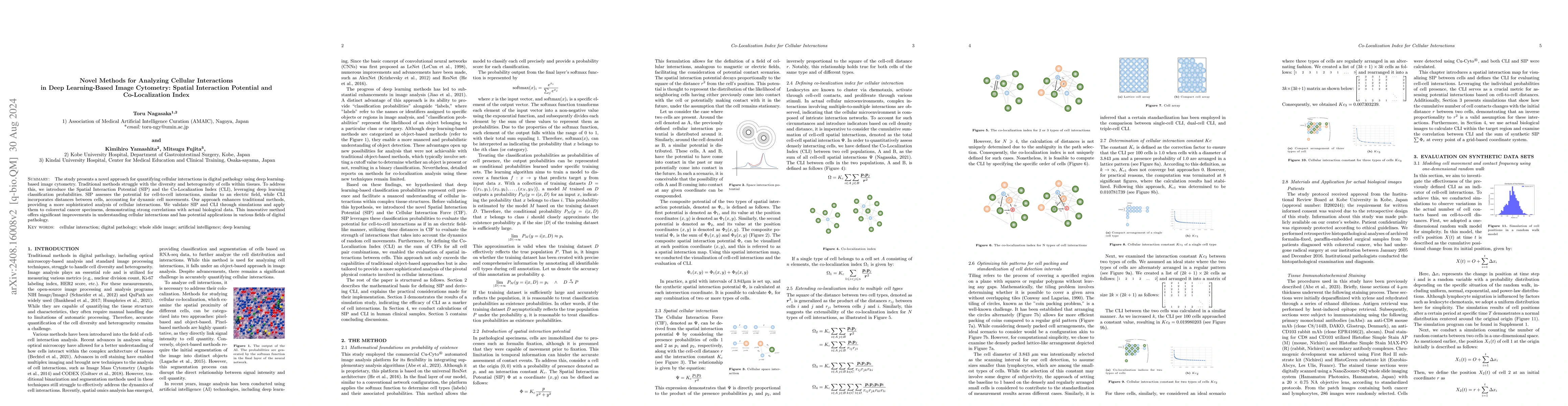 Thumbnail for Novel Methods for Analyzing Cellular Interactions in Deep Learning-Based
  Image Cytometry: Spatial Interaction Potential and Co-Localization Index