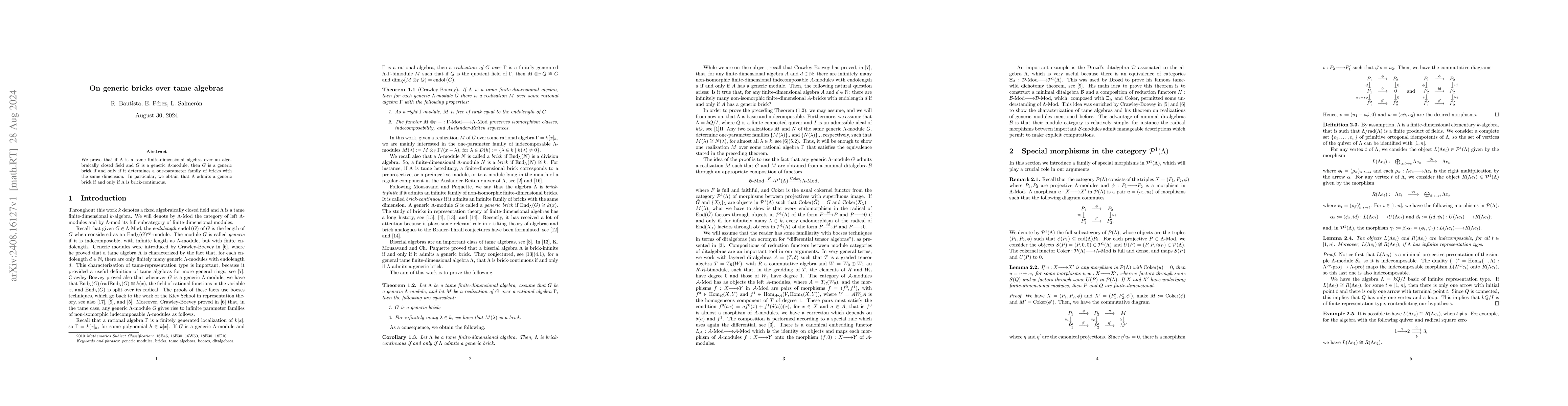 Thumbnail for On generic bricks over tame algebras