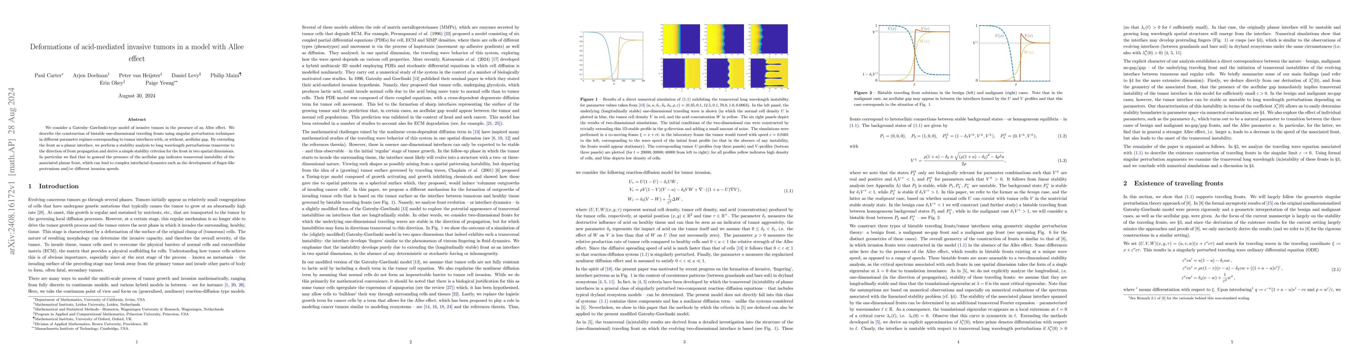 Thumbnail for Deformations of acid-mediated invasive tumors in a model with Allee
  effect