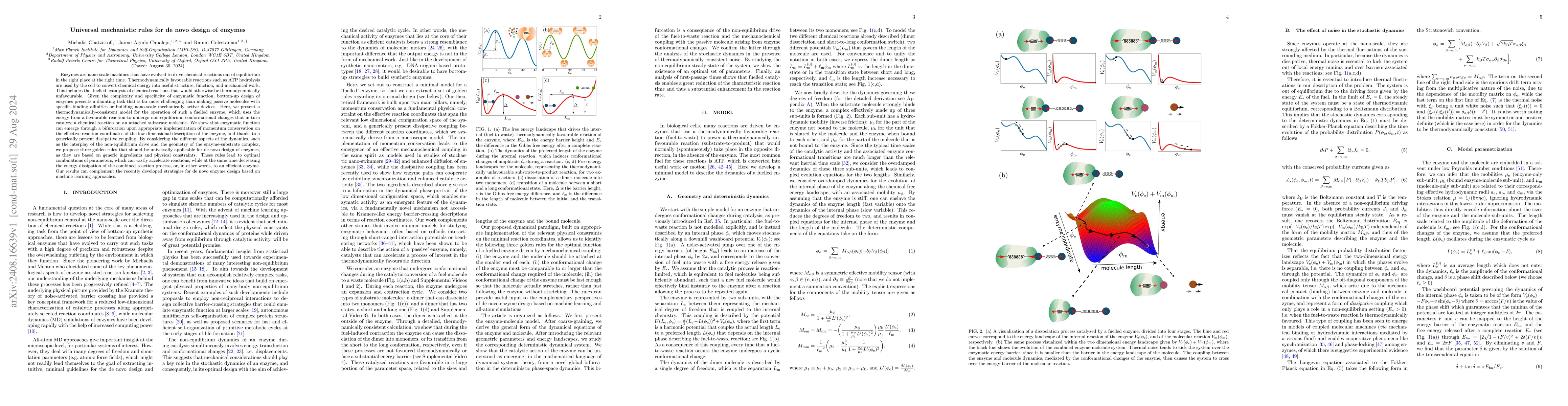 Thumbnail for Universal mechanistic rules for de novo design of enzymes