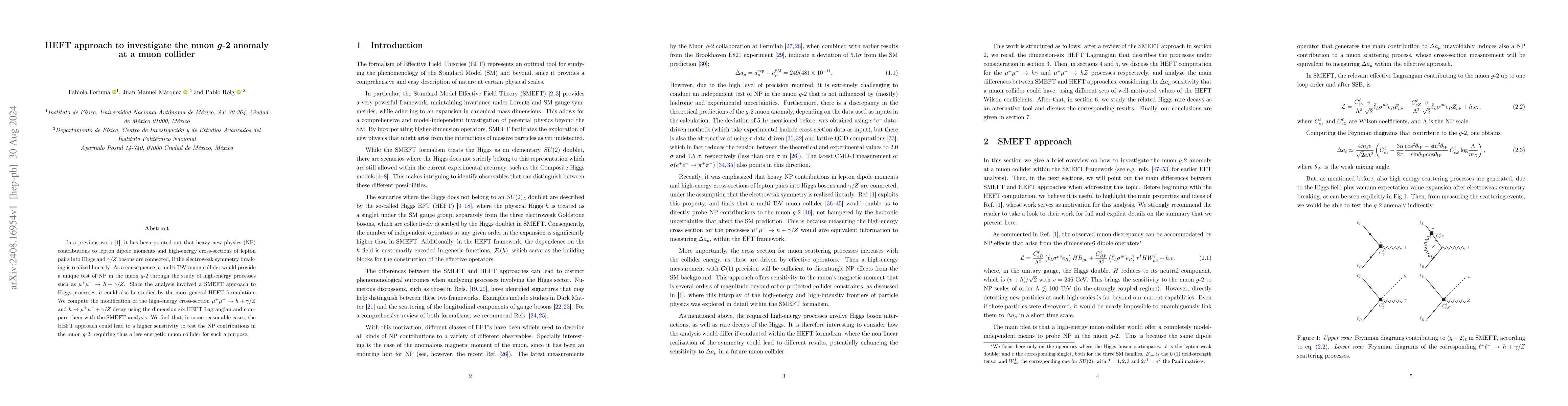Thumbnail for HEFT approach to investigate the muon g-2 anomaly at a muon collider