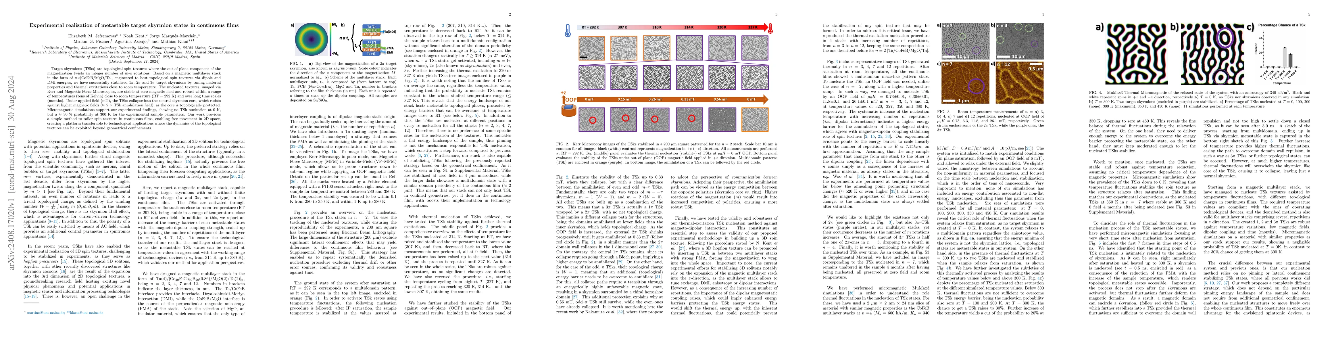 Thumbnail for Experimental realization of metastable target skyrmion states in
  continuous films