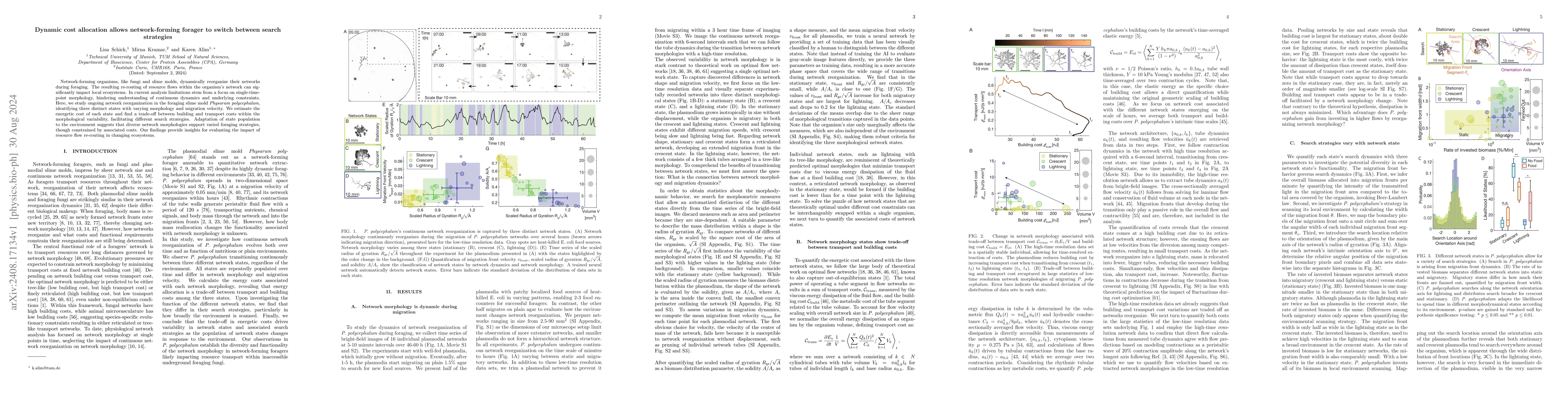Thumbnail for Dynamic cost allocation allows network-forming forager to switch between
  search strategies
